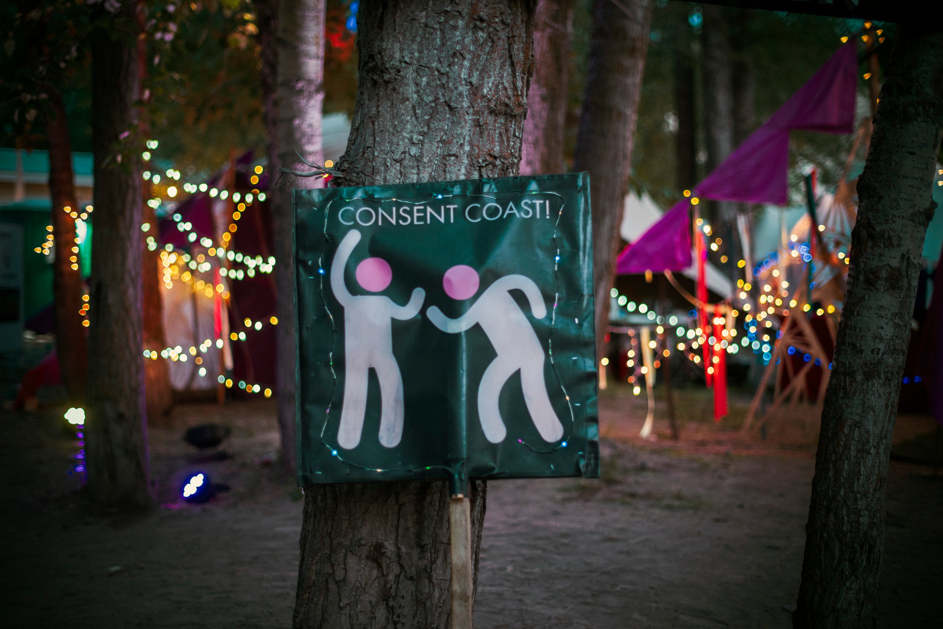 Bass Coast 2019 Harm Reduction: By the Numbers