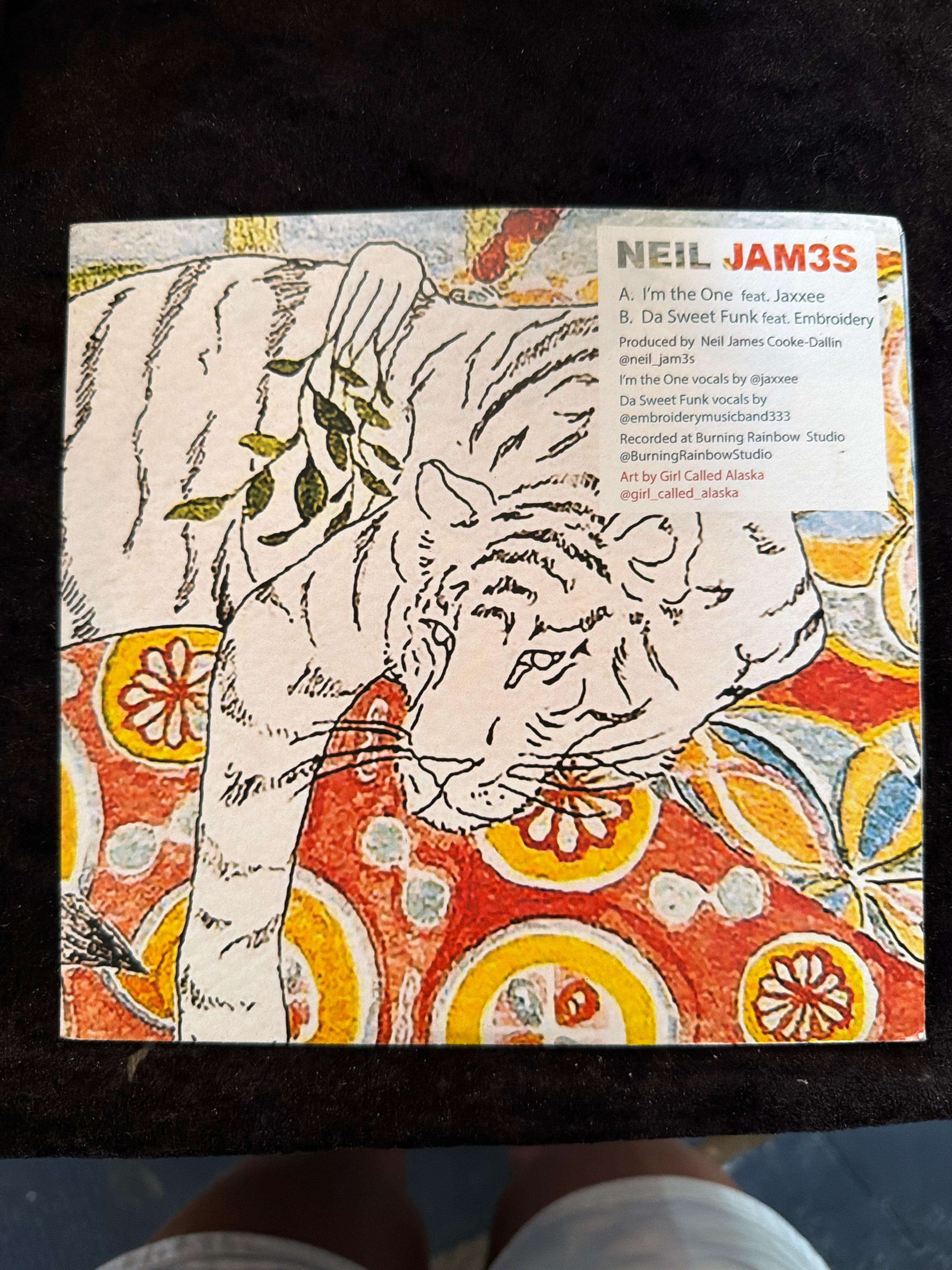 NEIL JAM3S - VINYL - CONSIGNMENT