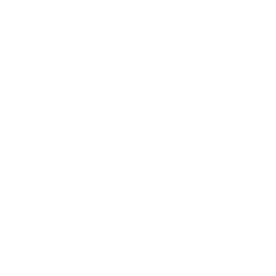 Bass Coast Phi logo