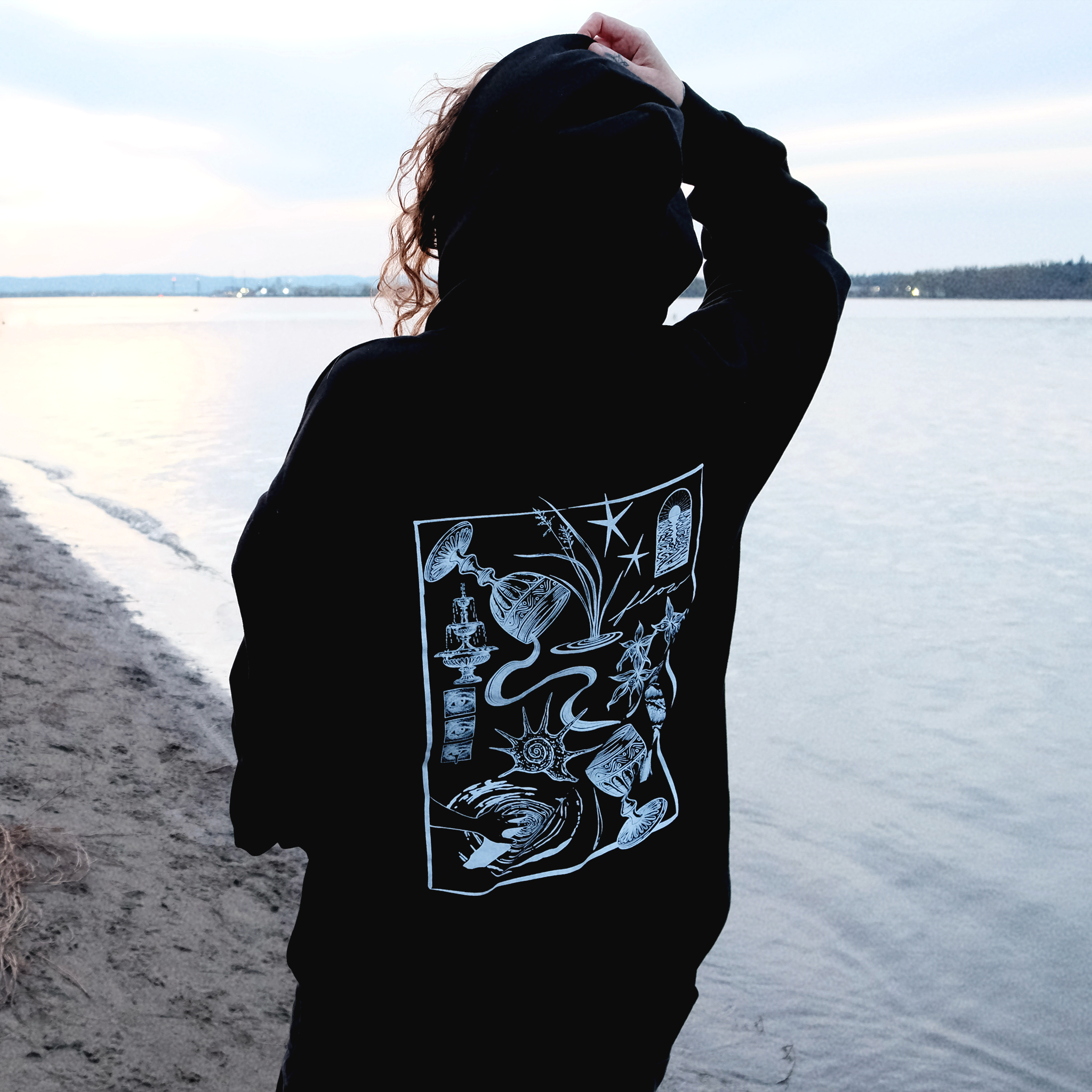 Bass Coast x Alex Moon Hoodie