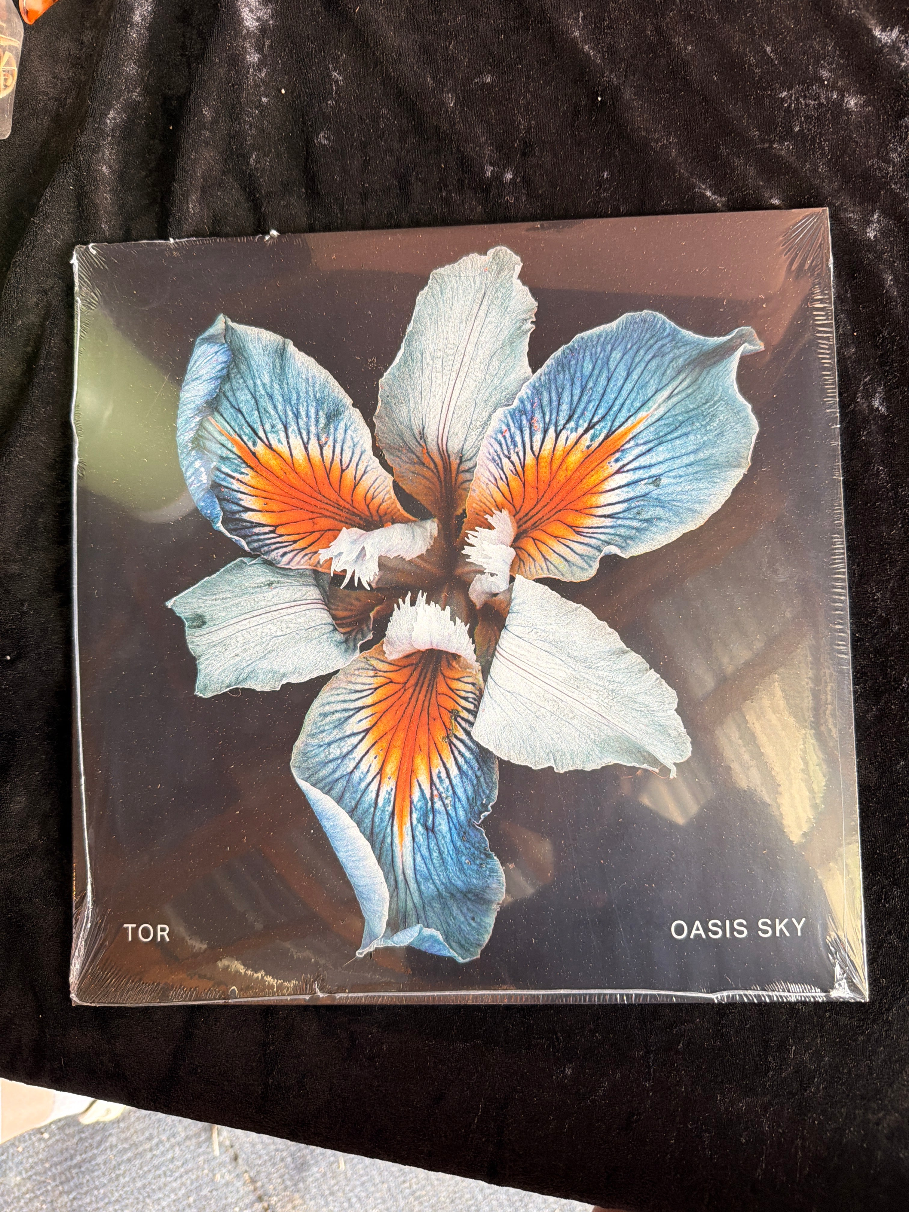 TOR - VINYL - CONSIGNMENT